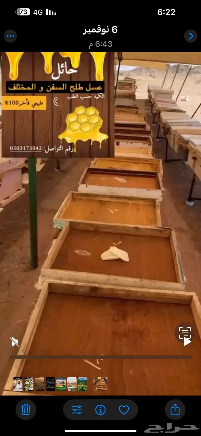 عسل طلح (المختلف والسفن) 0