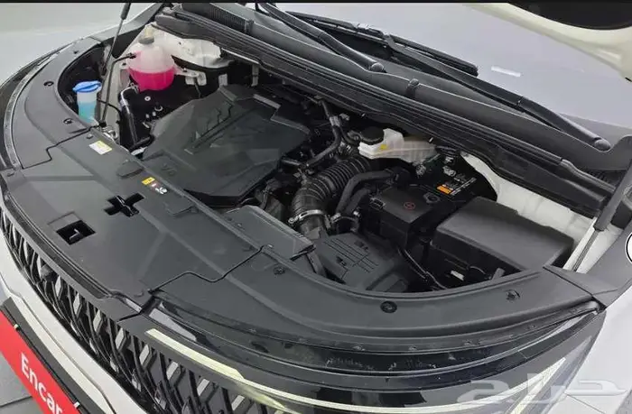 كيا كرنفال 2025 الميموني للاستيراد من كوريا 5