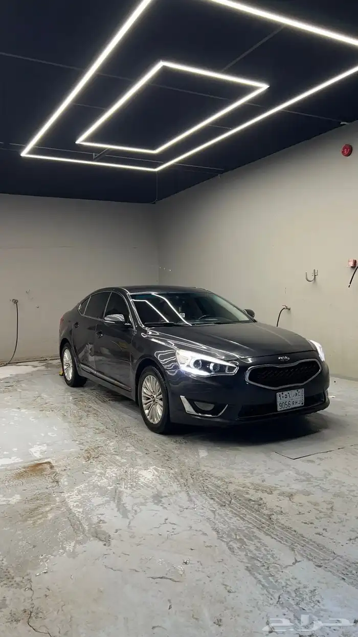 كادينزا 2016 للبيع 0