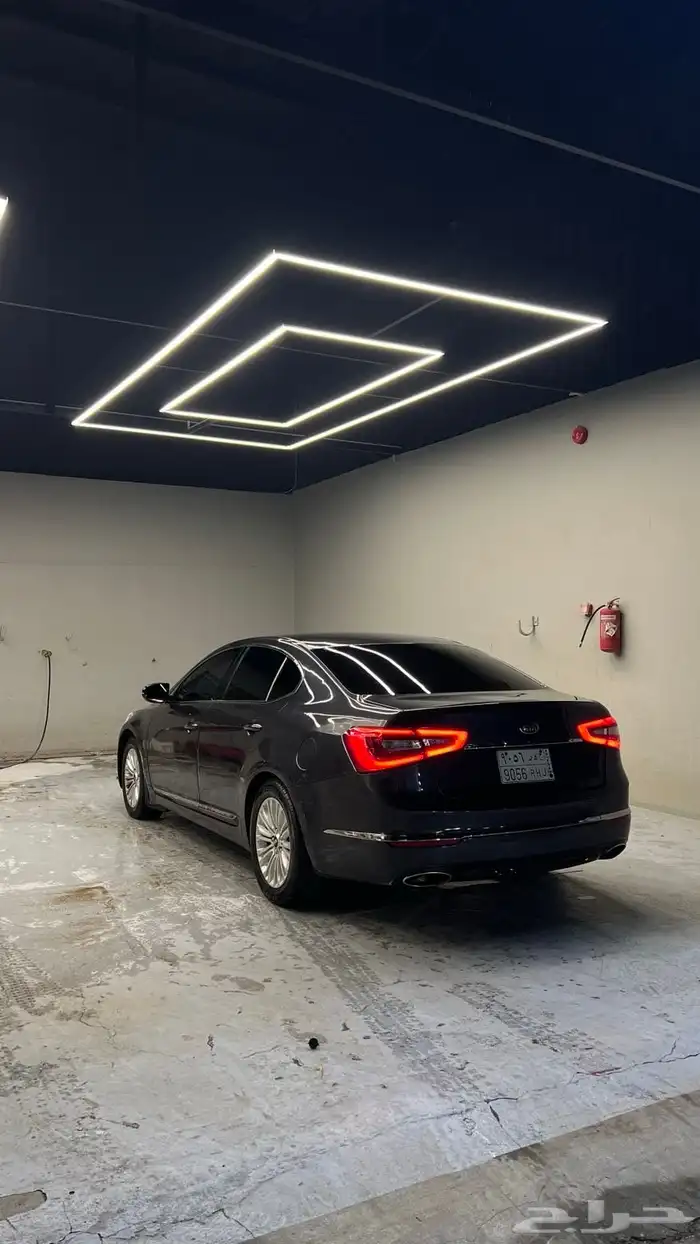 كادينزا 2016 للبيع 1