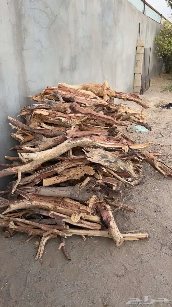 للبيع حطب سمر مستورد 0