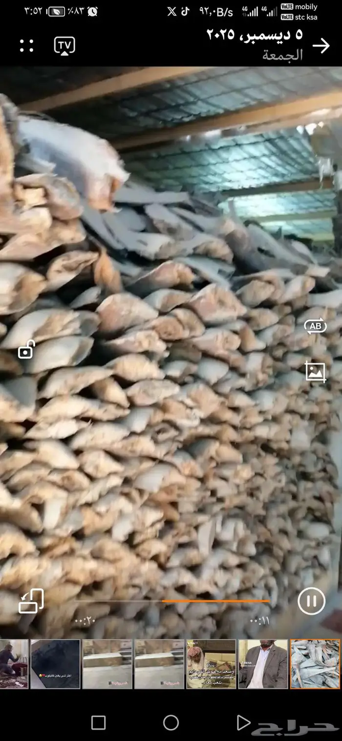 كرب نخيل. للبيع. كيمة كبيرة. 1