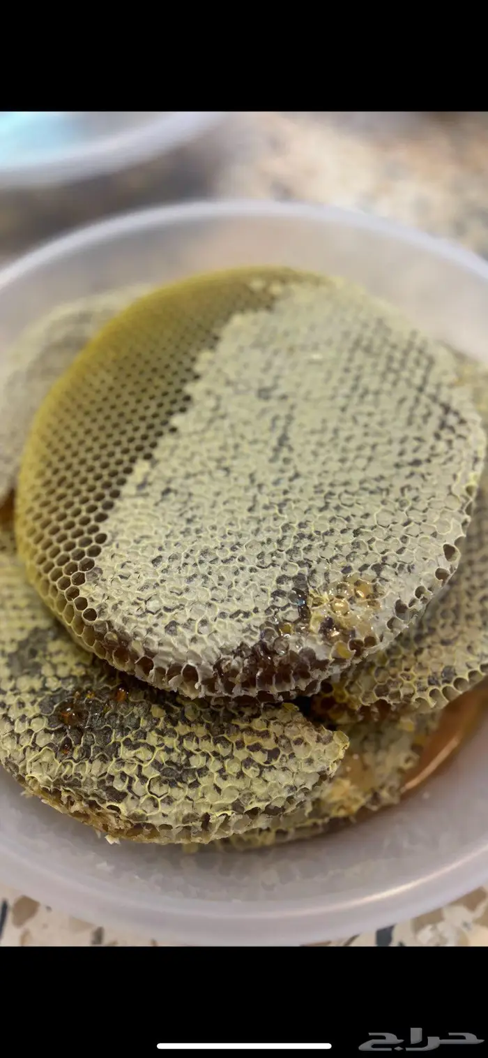 عسل سدر تهامه وعسل قرضه الحجاز انتاج 1447ه مضمون 1