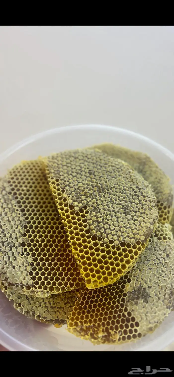 عسل سدر تهامه وعسل قرضه الحجاز انتاج 1447ه مضمون 2