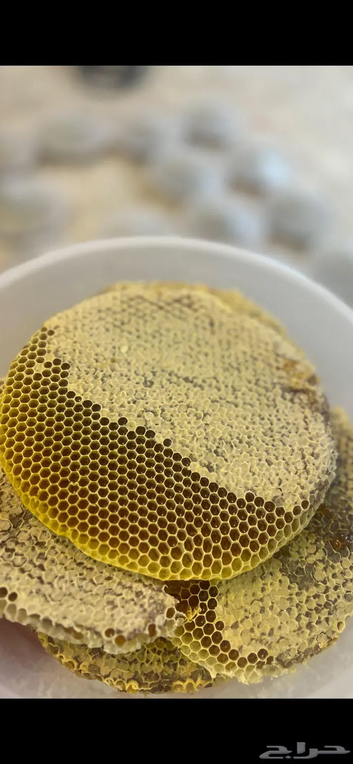 عسل سدر تهامه وعسل قرضه الحجاز انتاج 1447ه مضمون 4