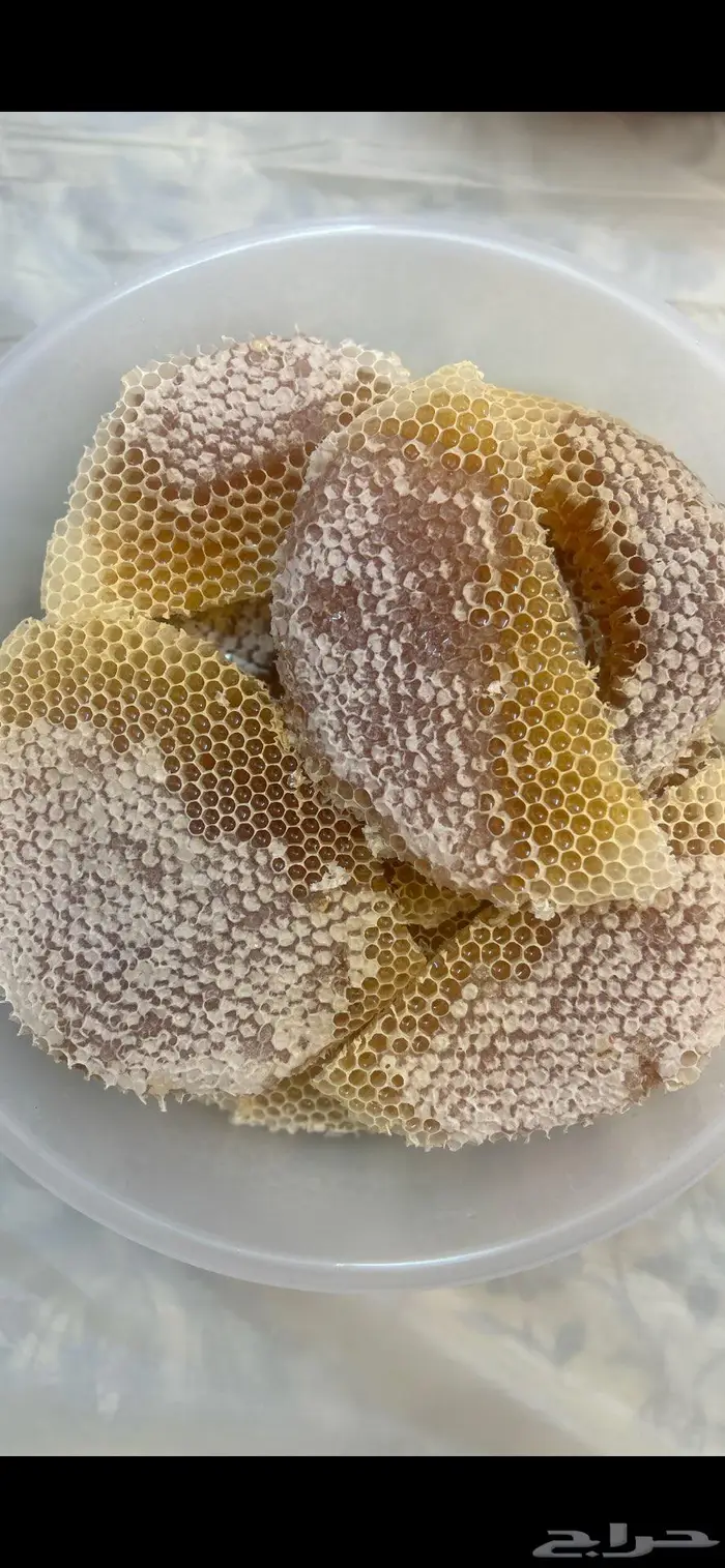 عسل سدر تهامه وعسل قرضه الحجاز انتاج 1447ه مضمون 3