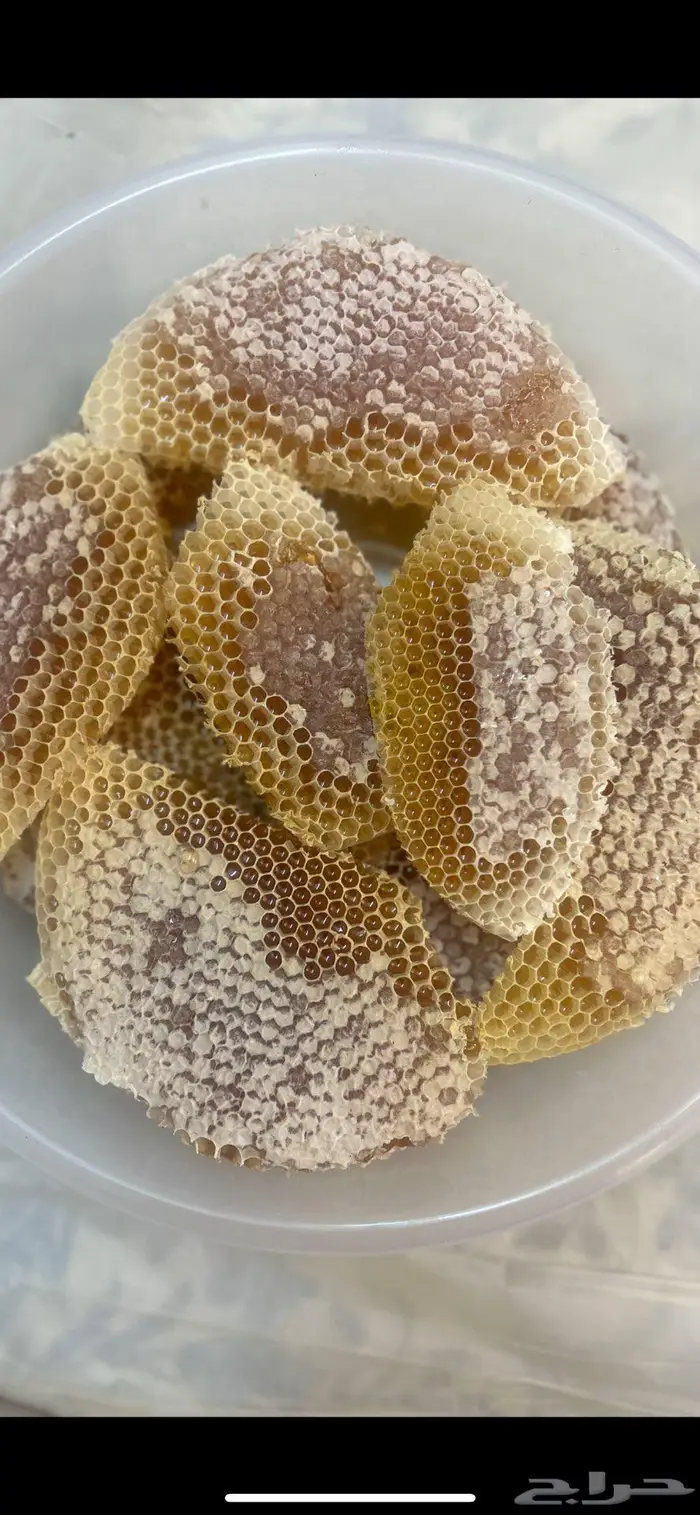 عسل سدر تهامه وعسل قرضه الحجاز انتاج 1447ه مضمون 5