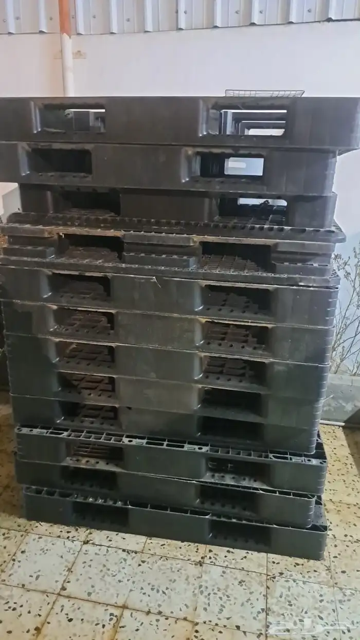 طبليات العدد12 0