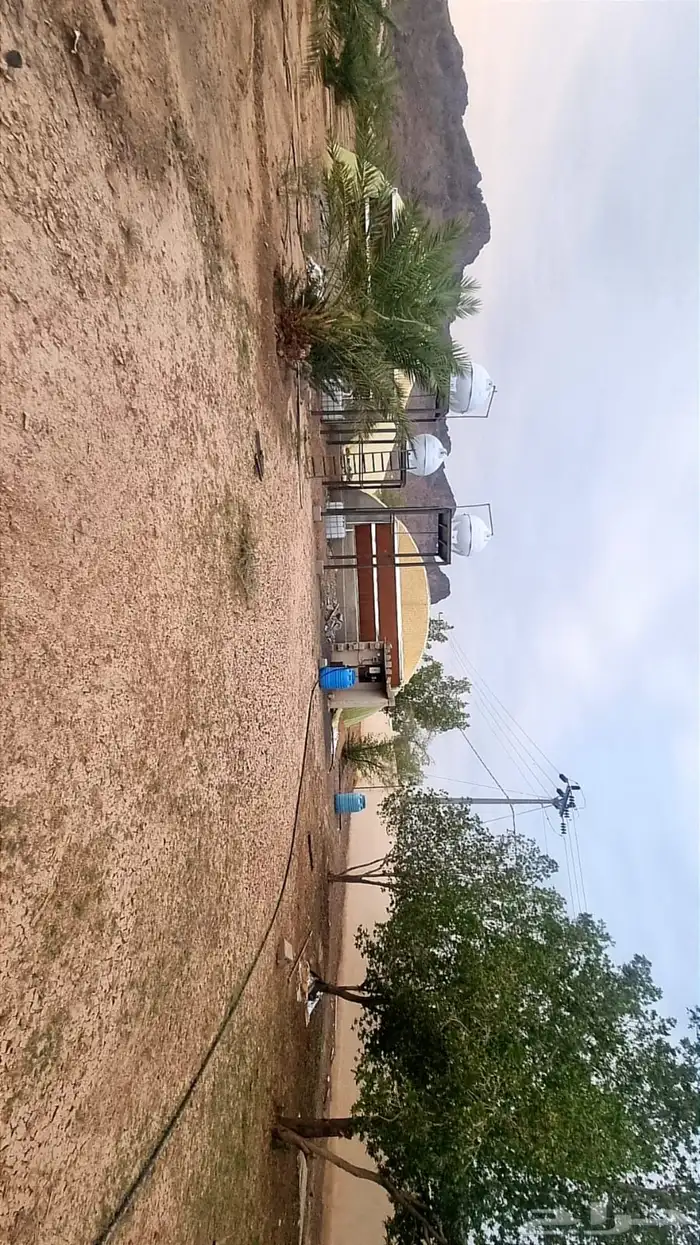 للبيع مزرعة في شناصير بالقرب من حمراء الاسد مرفوعه في احكام 11