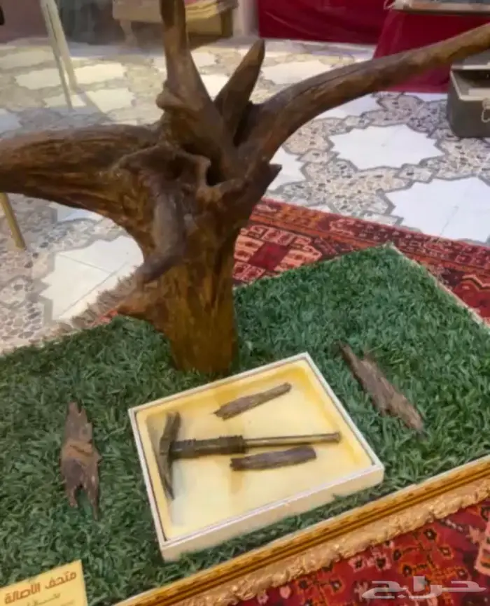 للبيع عود مروكي 7 كجم 0