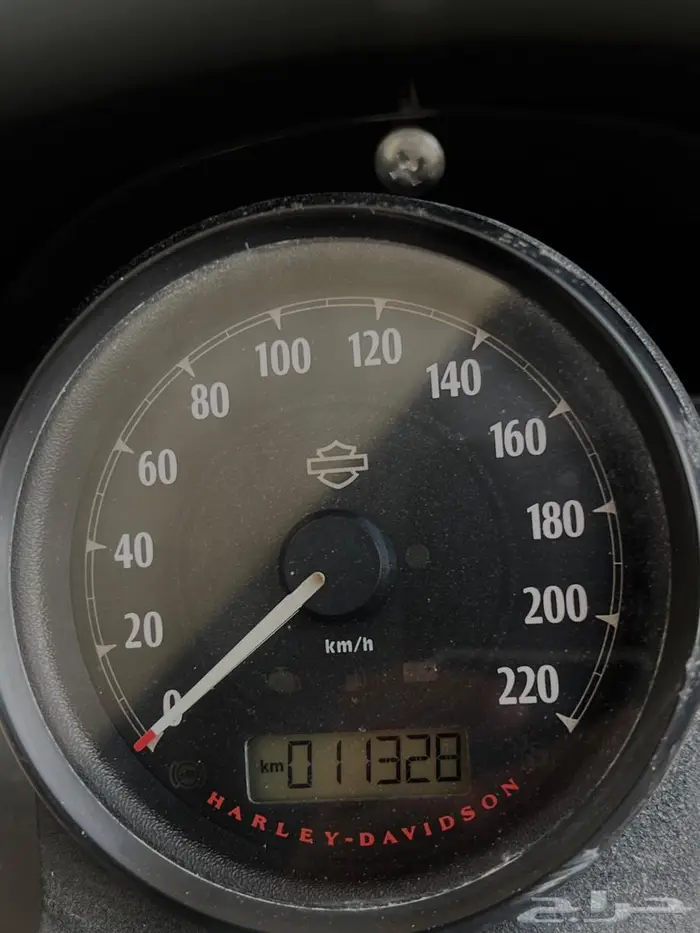 هارلي سبوستر 2021 7