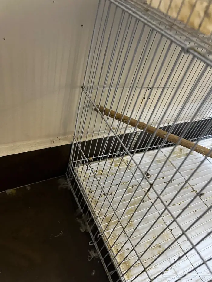 اقفاص متنوعه للبيع 3