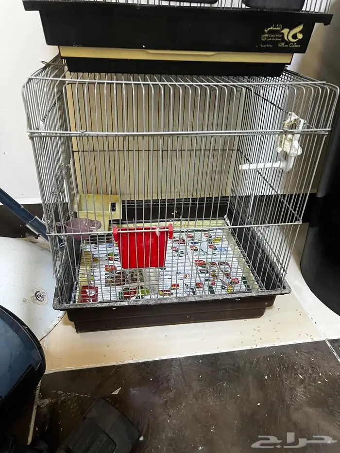 اقفاص متنوعه للبيع 4