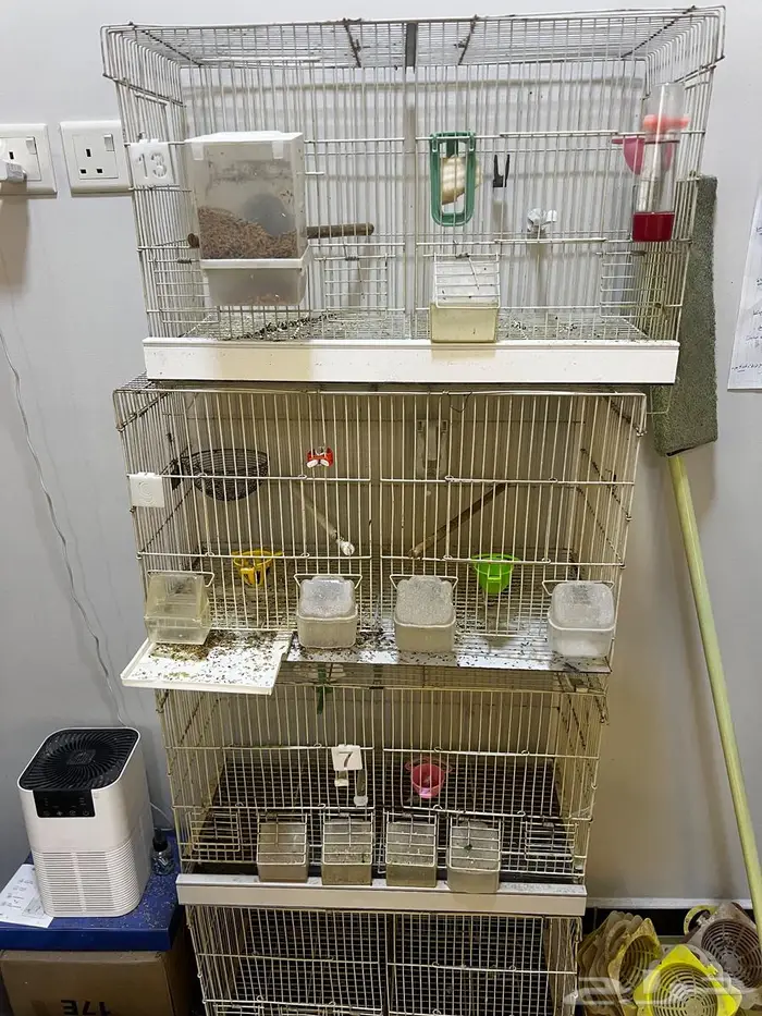 اقفاص متنوعه للبيع 2