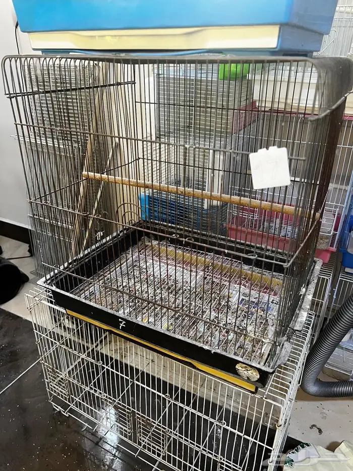 اقفاص متنوعه للبيع 7