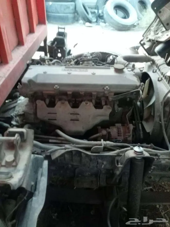 ايسوزو دينا 2008 7