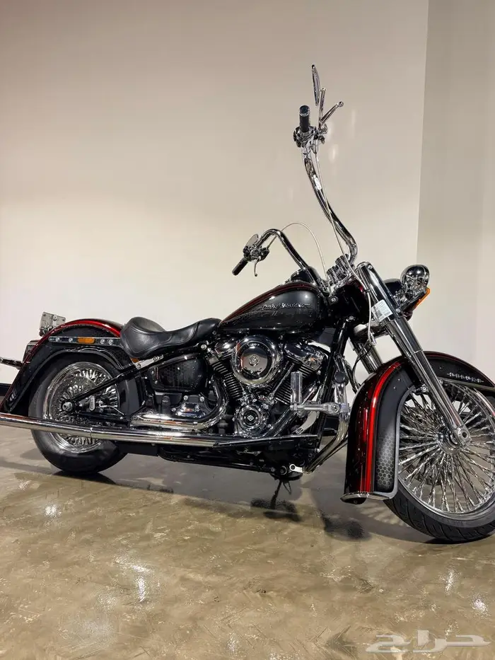 Harley Davidson Softail Deluxe هارلي دفيدسون ديلوكس 2019 2