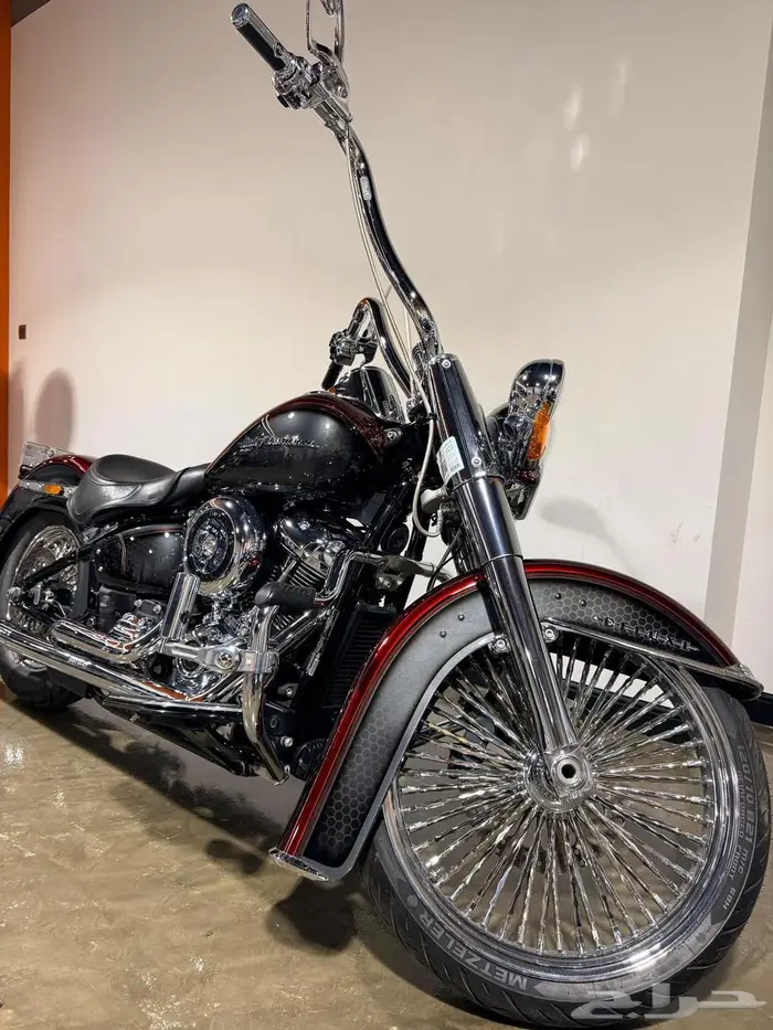 Harley Davidson Softail Deluxe هارلي دفيدسون ديلوكس 2019 4