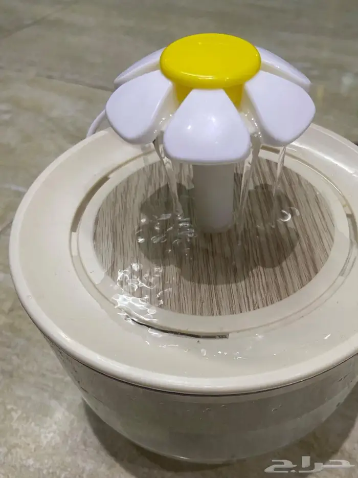 نافوره قطط 0