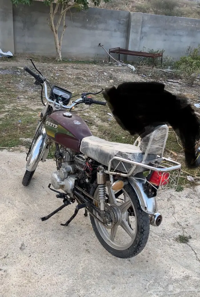 دباب سويدي ورد العمودي الأصلي 2020 4