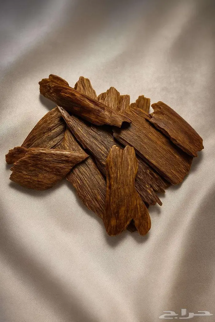 عود من نوادر العود مناسب لجميع المناسبات 2