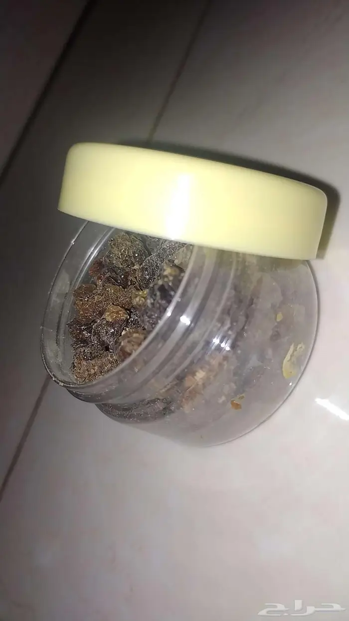 مر فطير للبيع العلبه 50جرام 0