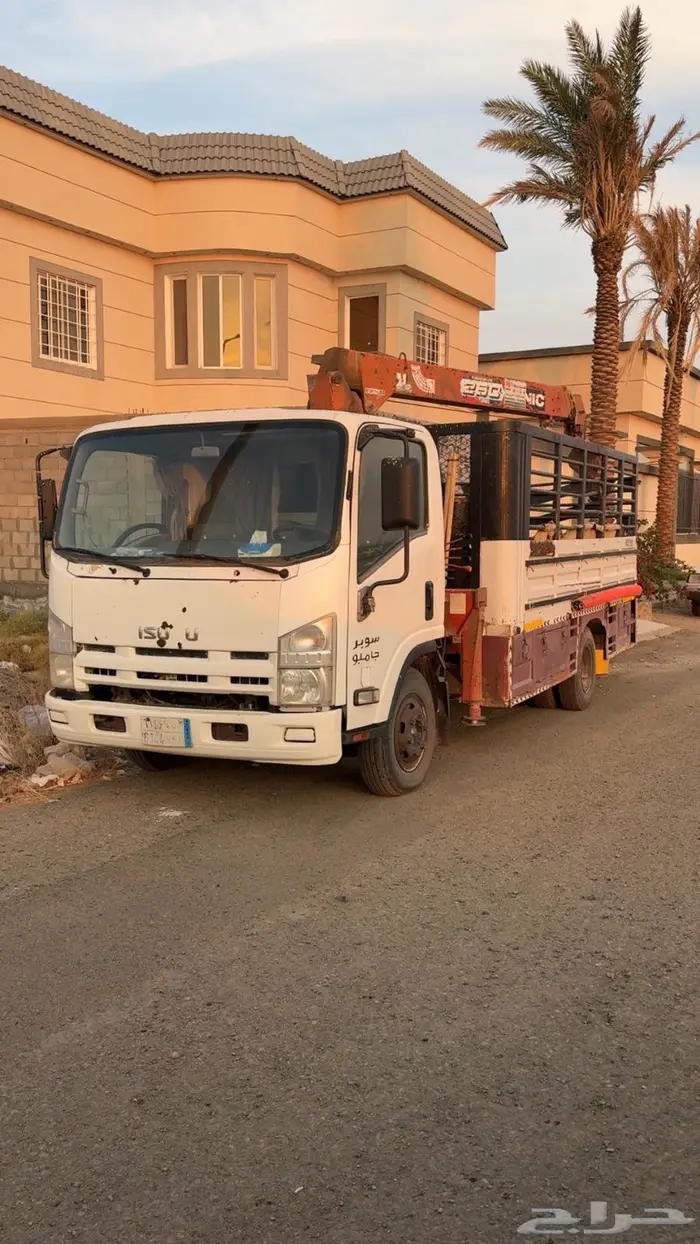 ايسوزو دينا 0