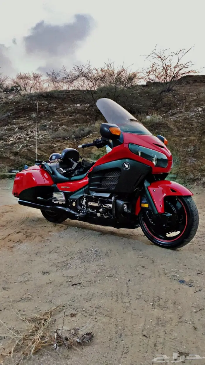 هوندا قولد F6B 2013 4