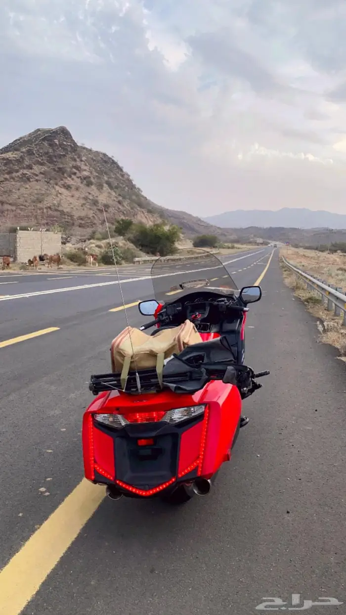 هوندا قولد F6B 2013 2