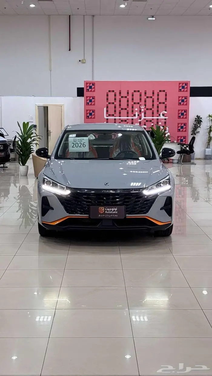 دونج فينج شاين E1 2026 رمادي 0