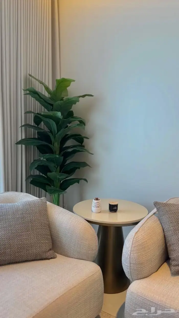 شاليه على البحر احجز ليلتين والثالثه مجانا 1