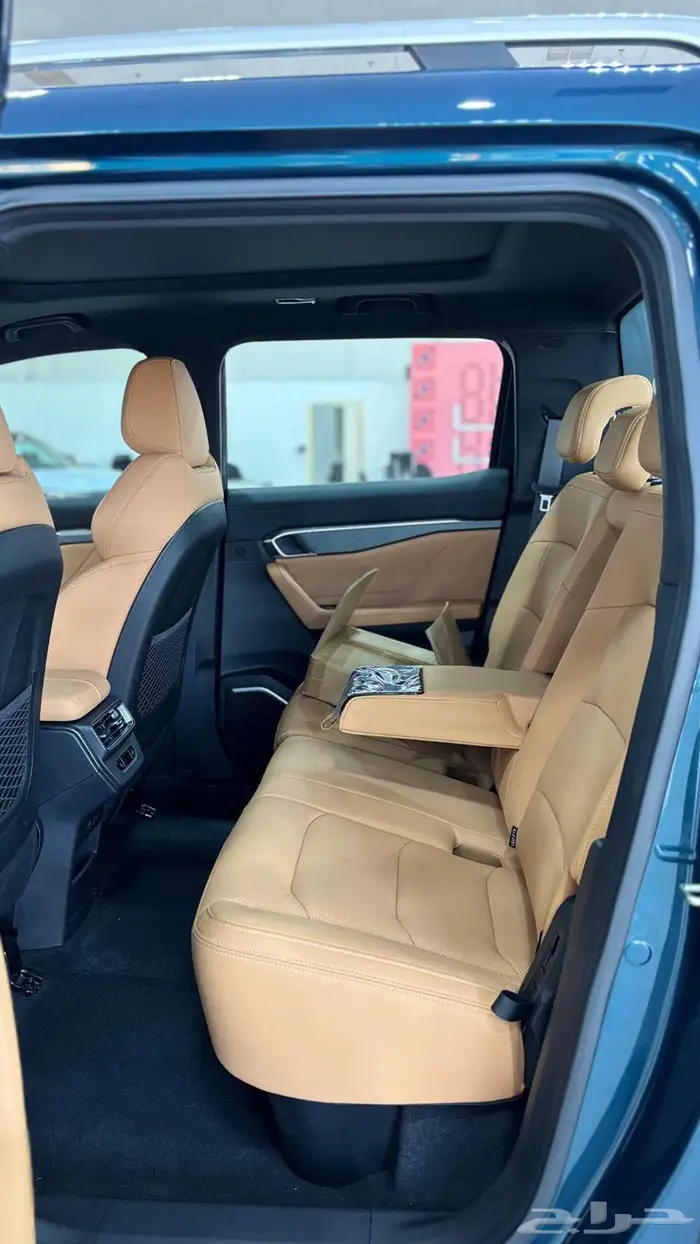 ريدارا 2025 RD6 بيك اب كهربائية 30