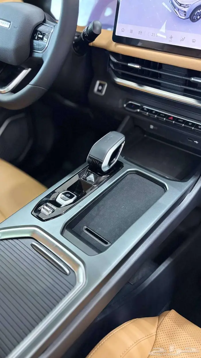 ريدارا 2025 RD6 بيك اب كهربائية 22