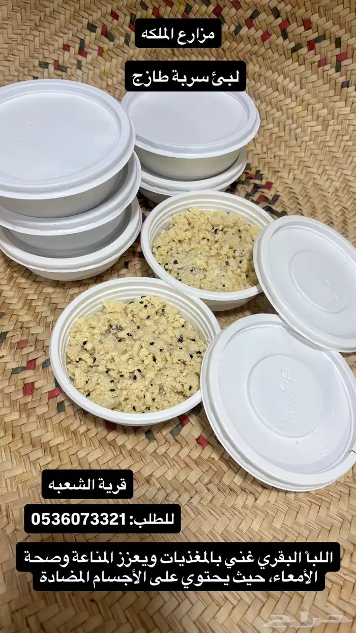 تمور الملكه والبان 4