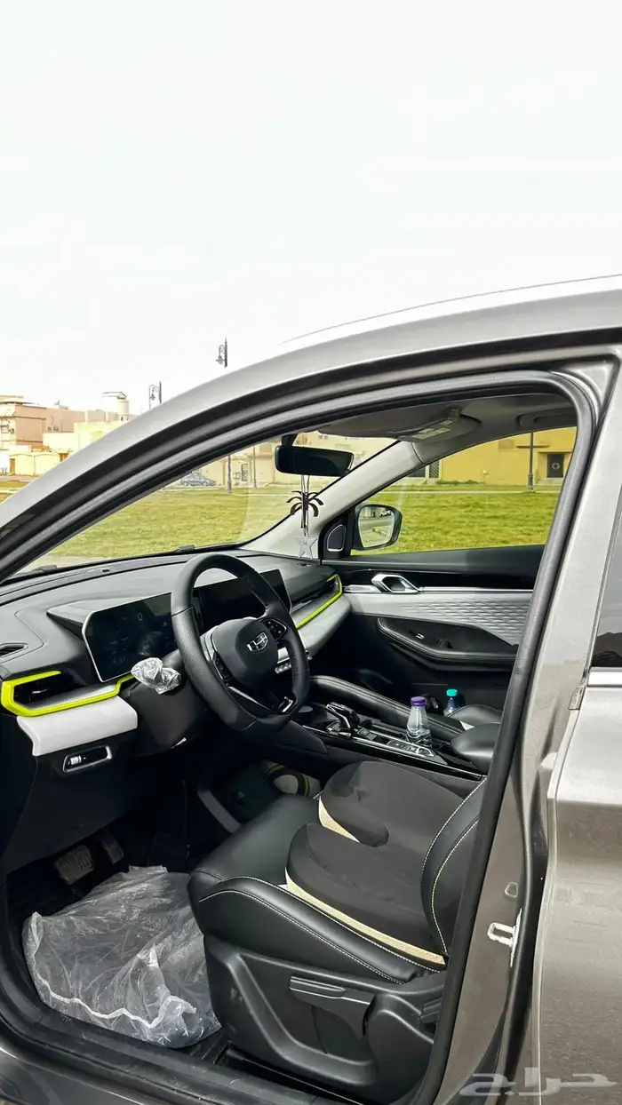 جيلي كولراي 2024 للتقبيل 11