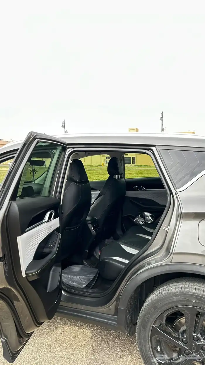 جيلي كولراي 2024 للتقبيل 12