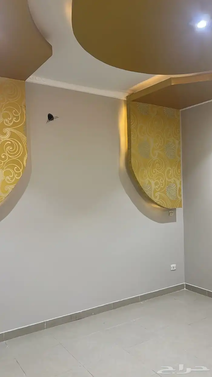 شقة للإيجار حي الربوة 0