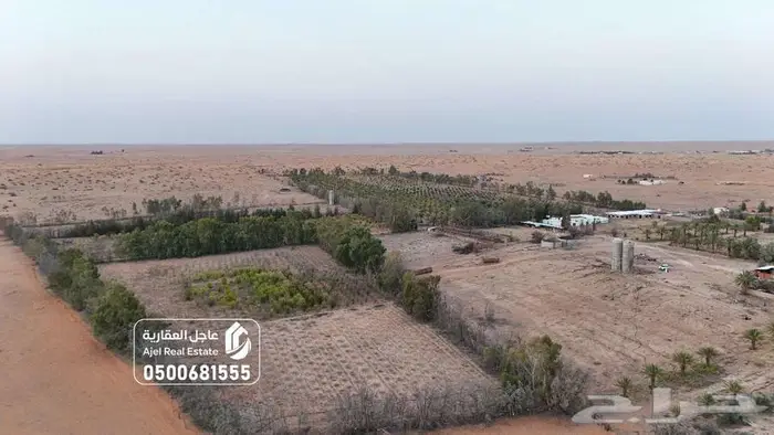 مشروع زراعي للبيع في حائل 3