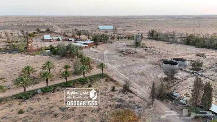 مشروع زراعي للبيع في حائل 9