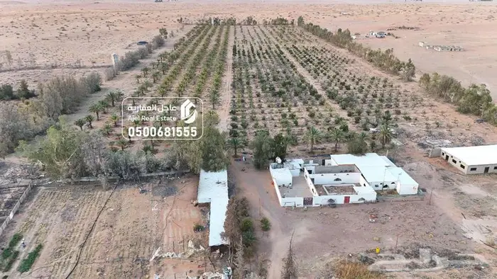 مشروع زراعي للبيع في حائل 11