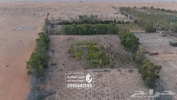 مشروع زراعي للبيع في حائل 21