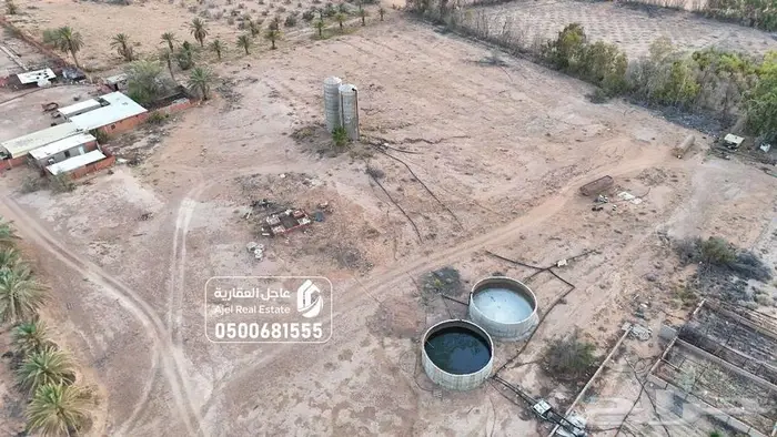 مشروع زراعي للبيع في حائل 12