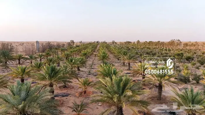مشروع زراعي للبيع في حائل 19