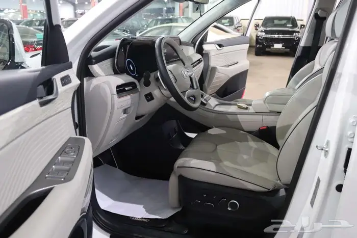 هونداي باليسيد 2023 كاليجرافي 18