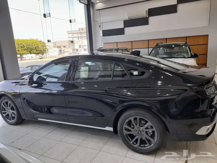 تورس امبيانتى 2026 7