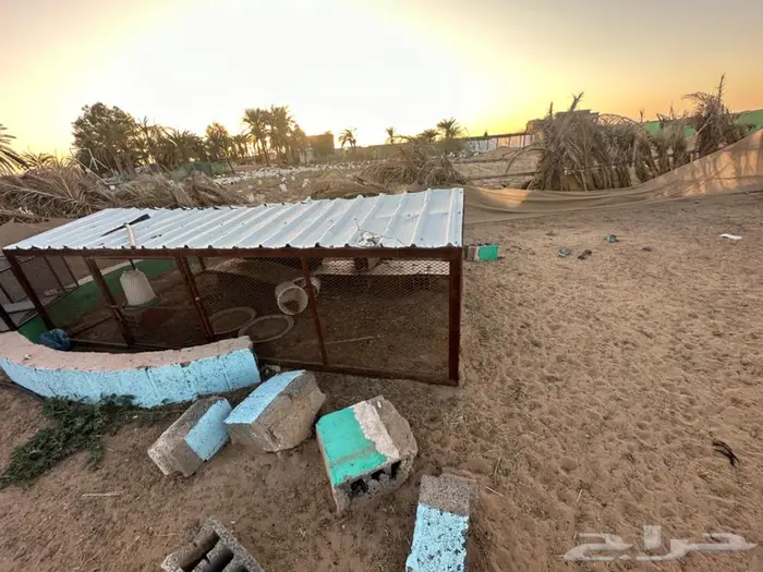 شبك دجاج كبير 0