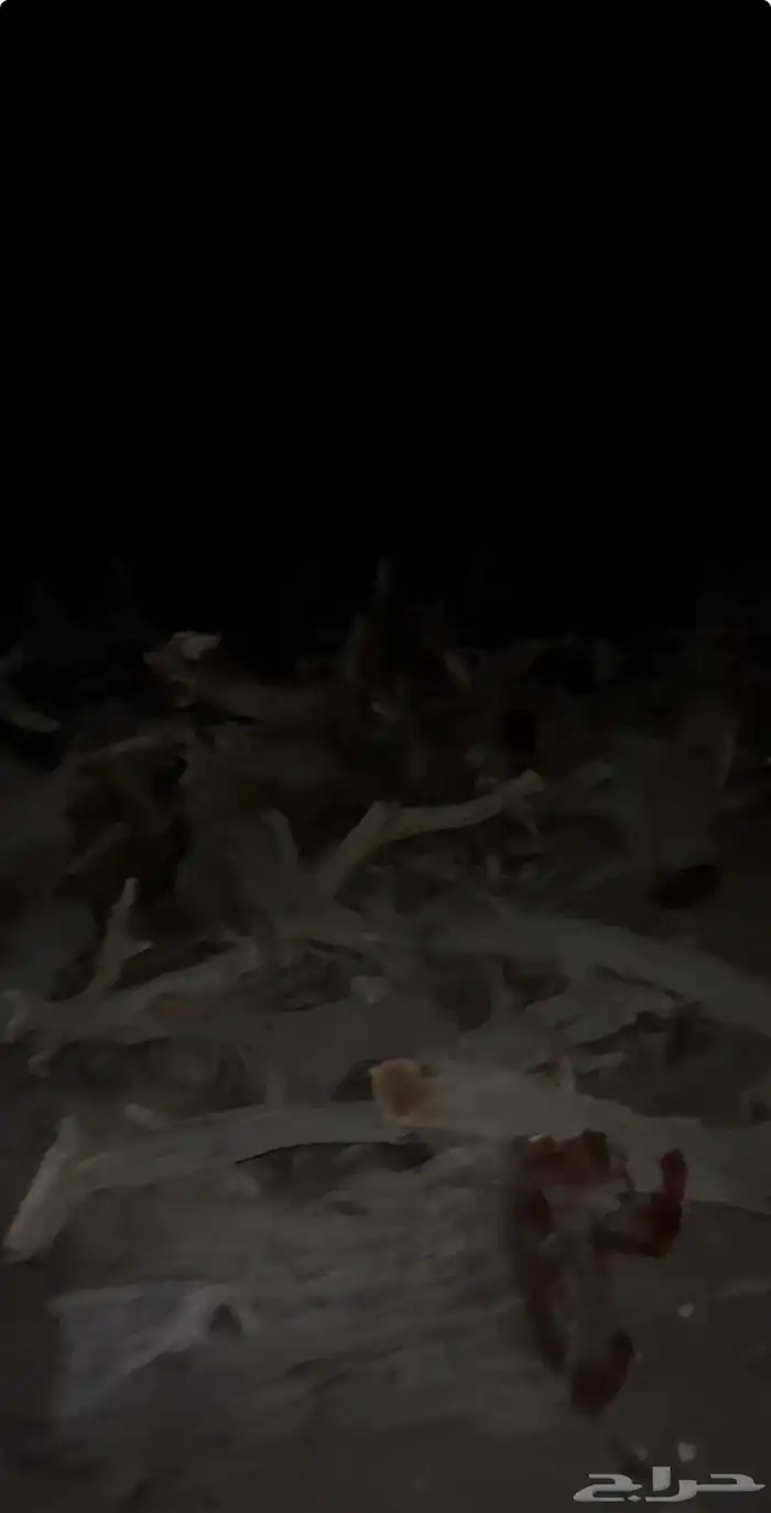 حطب قرض للبيع 0