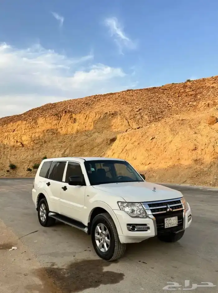 بجيرو للبيع 6