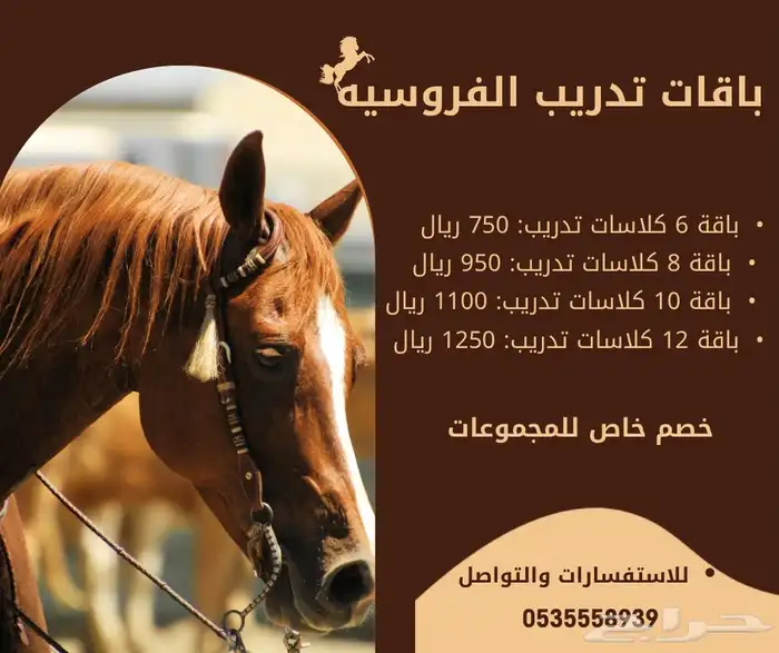 ايواء وتدريب فروسيه 3