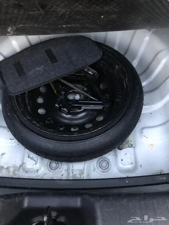 شانجان السفن 2023 13